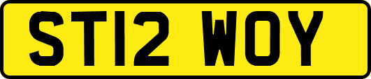 ST12WOY