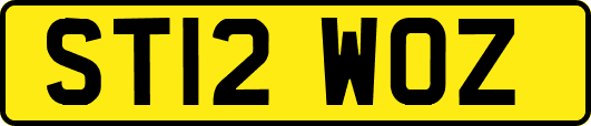 ST12WOZ