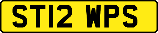 ST12WPS