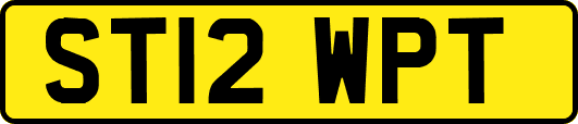 ST12WPT