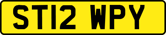 ST12WPY