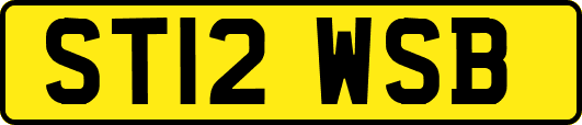 ST12WSB