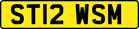 ST12WSM
