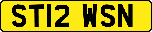 ST12WSN