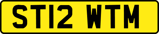 ST12WTM