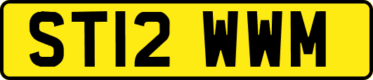 ST12WWM
