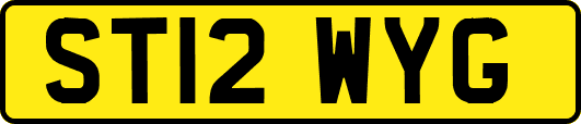 ST12WYG