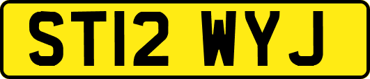 ST12WYJ