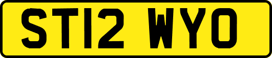 ST12WYO