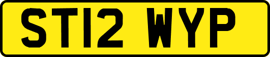 ST12WYP