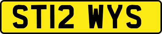 ST12WYS