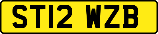 ST12WZB