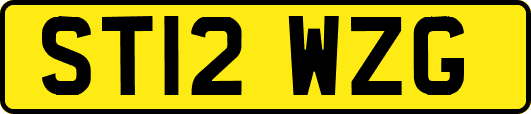 ST12WZG