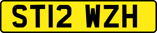 ST12WZH