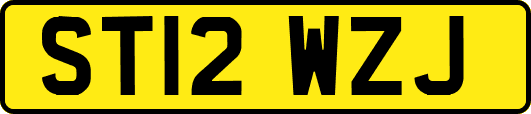 ST12WZJ