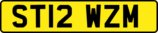ST12WZM