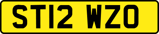 ST12WZO