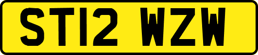 ST12WZW