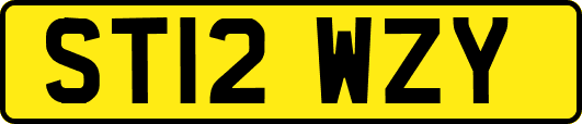 ST12WZY
