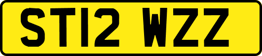 ST12WZZ