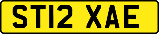 ST12XAE