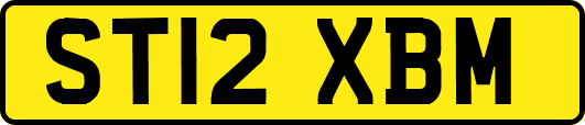 ST12XBM