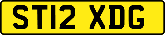 ST12XDG