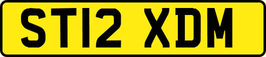 ST12XDM