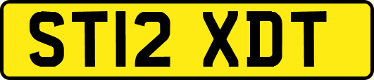ST12XDT