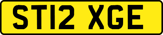 ST12XGE