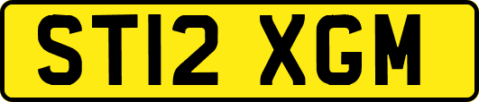 ST12XGM