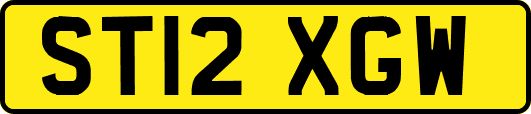 ST12XGW