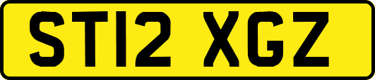 ST12XGZ