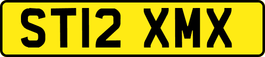 ST12XMX