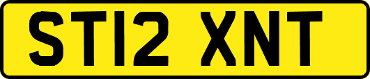 ST12XNT