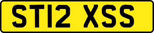 ST12XSS