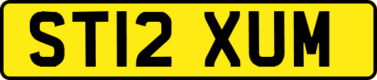 ST12XUM
