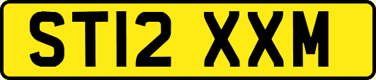 ST12XXM