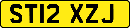 ST12XZJ