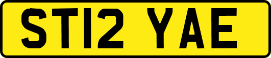 ST12YAE