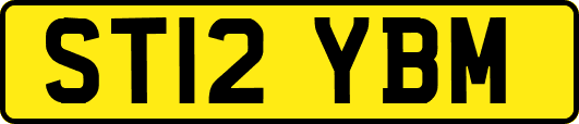 ST12YBM