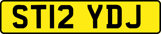ST12YDJ