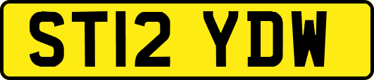 ST12YDW