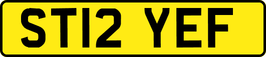 ST12YEF