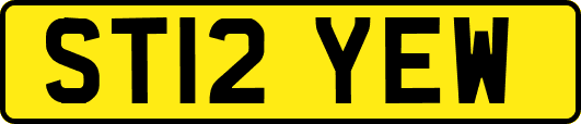 ST12YEW