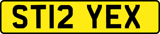ST12YEX