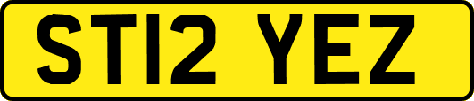 ST12YEZ