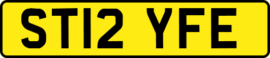 ST12YFE