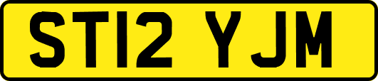 ST12YJM