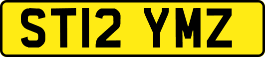 ST12YMZ